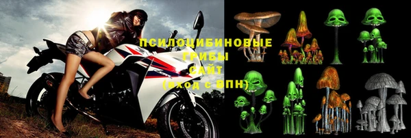 амф Аркадак
