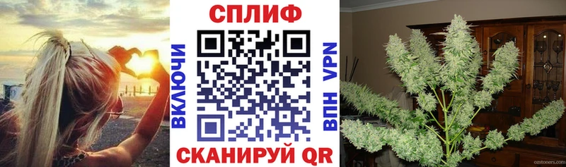 Купить закладки  Белоозёрский  Каннабис гибрид 